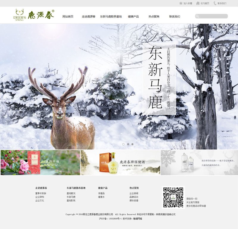 黑龙江网站建设的重要性解读
